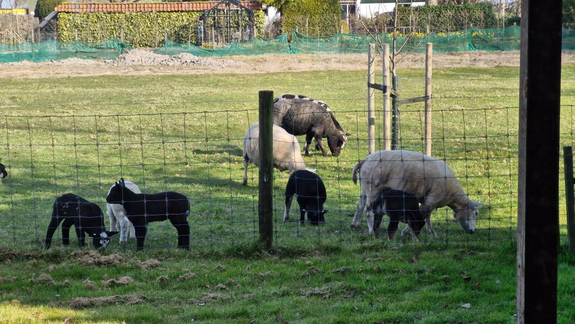 Hemmer Hoeve 외부 사진